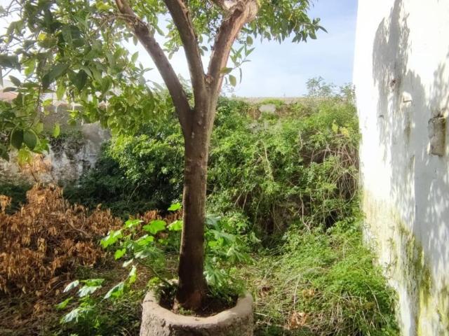 Casa en venta en Aldea Del Cano, Extremadura