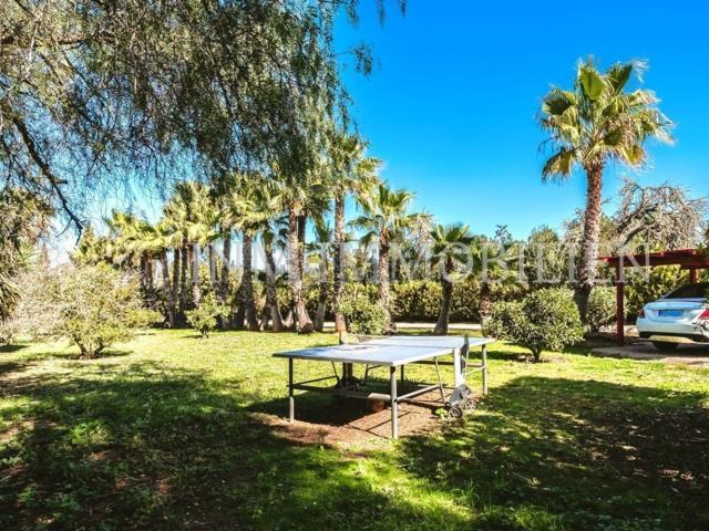 Casa en venta en Pla de Mallorca, Baleares