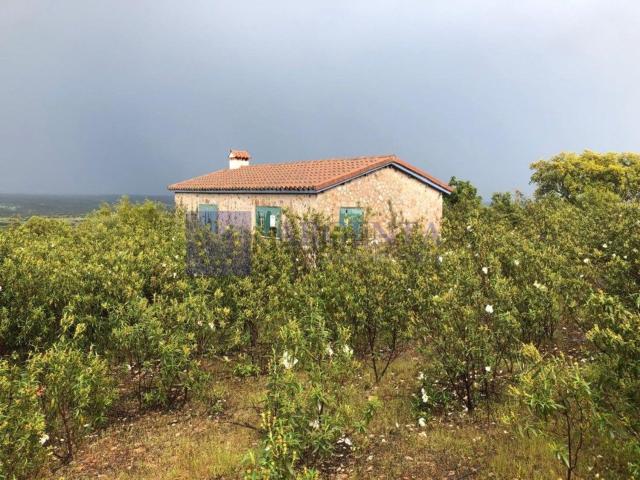 Casa en venta en Aliseda, Extremadura