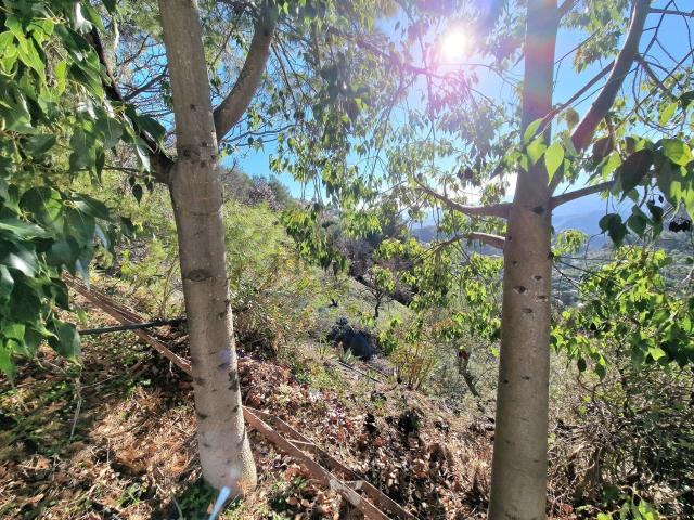 Casa en venta en Jorox, Alozaina