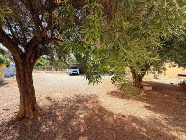 Chalet en alquiler en el Raval de Santa Teresa, el Baix Vinalopó