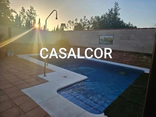 Chalet en alquiler en Urbanización El Torreón, Mairena Del Alcor