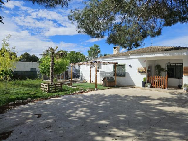 Villa en alquiler en Albacete, Aguas Nuevas