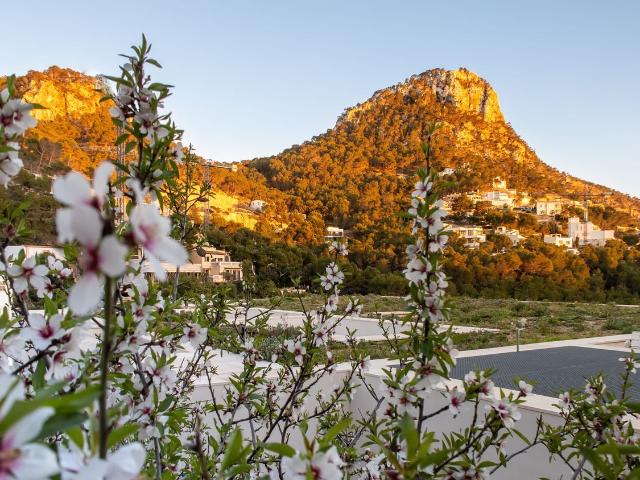 Casa en venta en Port d'Andratx, Serra de Tramuntana