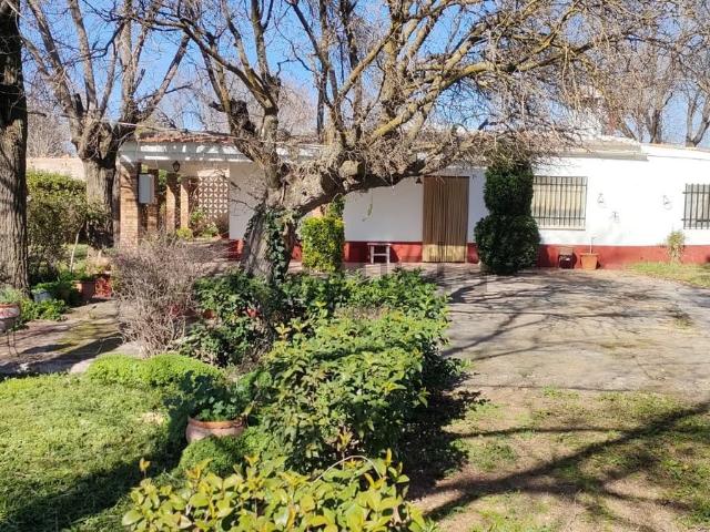 Casa en venta en Argamasilla De Calatrava, Castilla-La Mancha