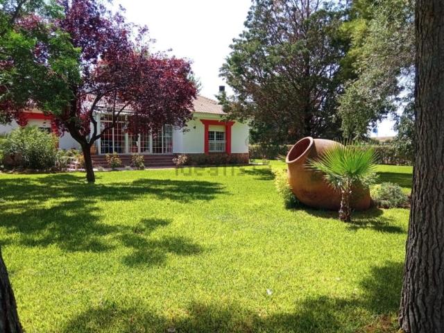 Casa en venta en Argamasilla de Calatrava, Ciudad Real
