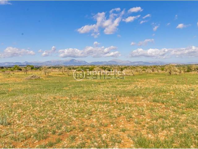 Casa en venta en Pla de Mallorca, Baleares