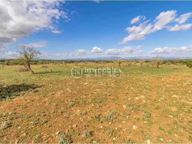 Casa en venta en Ariany