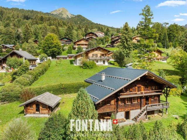 Haus kaufen in Ormont-Dessus, Waadt