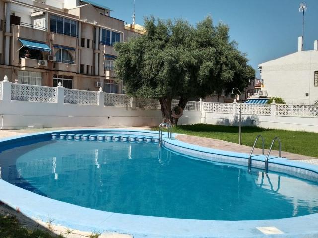 Casa en alquiler en El Palmeral, el Baix Segura / La Vega Baja