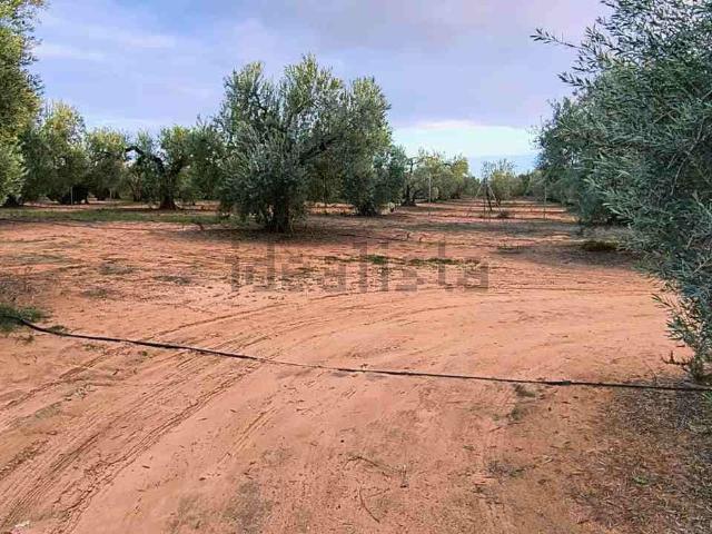 Casa en venta en Benacazón