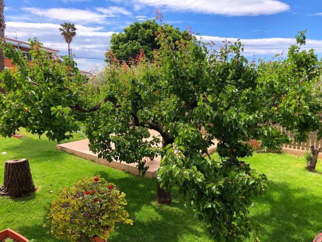 Casa en venta en Benicarló