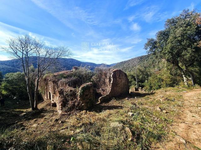 Casa en venta en Garrotxa, Catalunya
