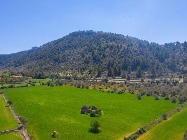 Casa en venta en Bunyola, es Garrigó