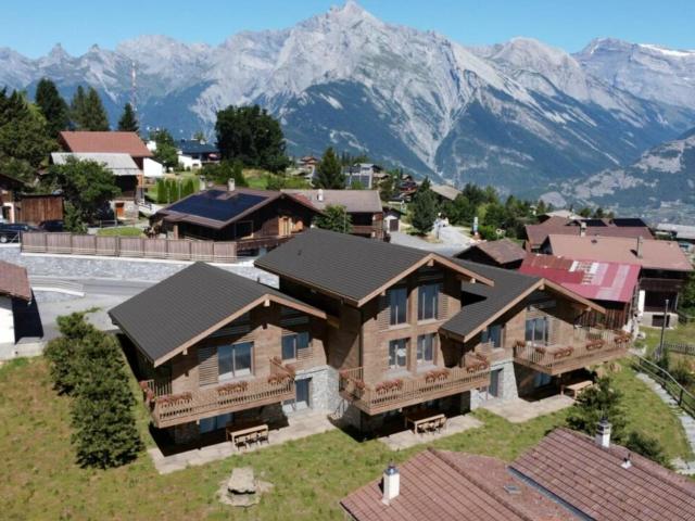 Haus kaufen in Baar, Nendaz, Wallis