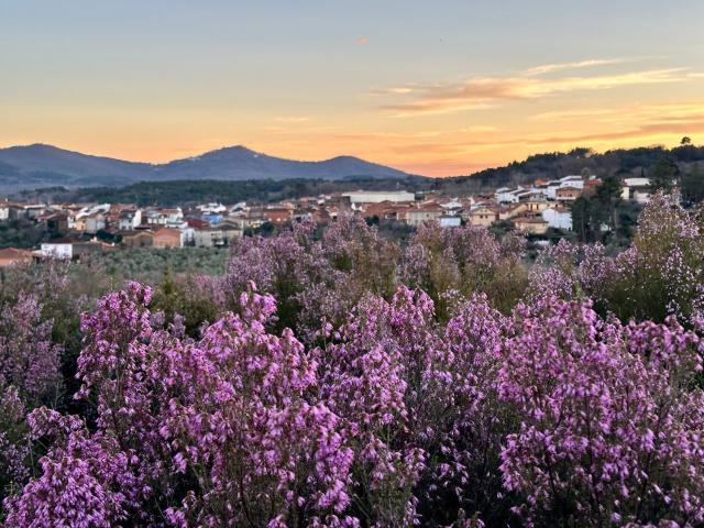 Casa en venta en Cadalso, Extremadura
