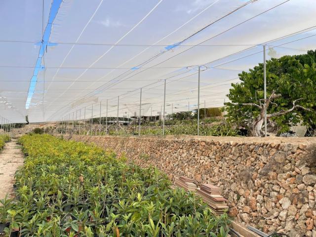 Casa en venta en Callosa D'en Sarrià, Valencia