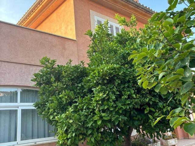 Casa en alquiler en Calvià, Son Ferrer