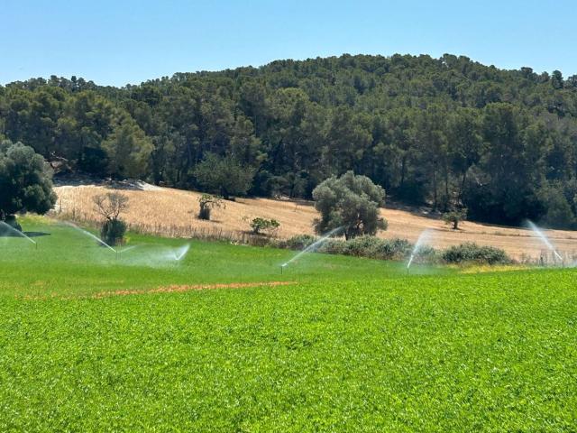 Casa en venta en Calvià, Serra de Tramuntana