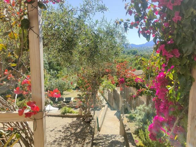Casa en alquiler en Raiguer, Baleares