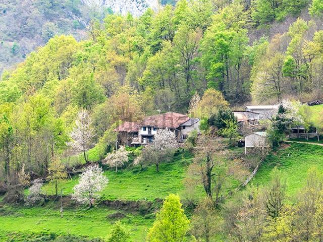 Casa en venta en La Infiesta, Caso