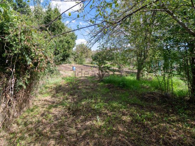 Casa en venta en Cassà De La Selva, Girona