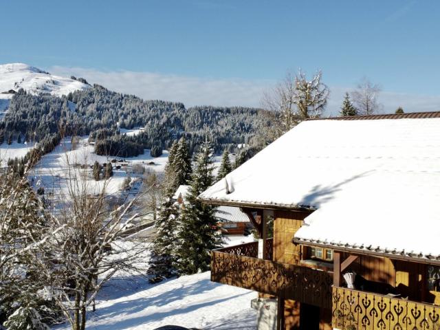 Maison vente à Thonon-les-Bains, Les Gets