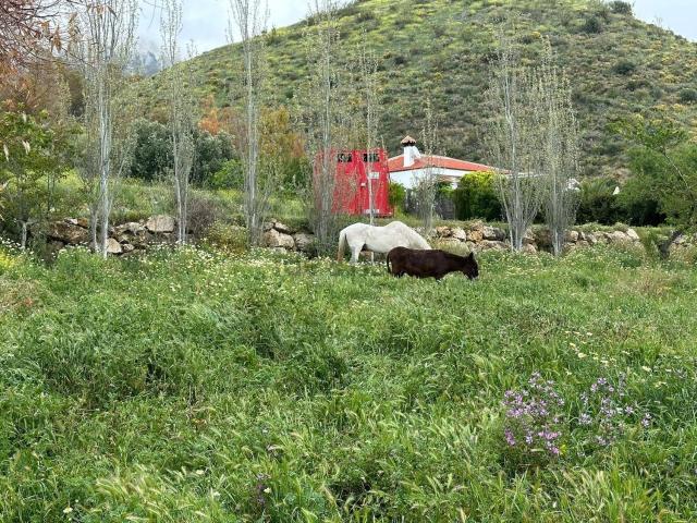 Casa en venta en La Axarquía, Andalucía