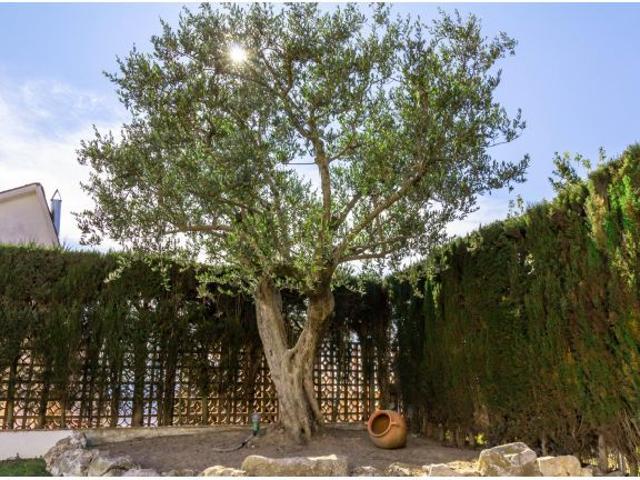 Casa en venta en Sant Quintí De Mediona
