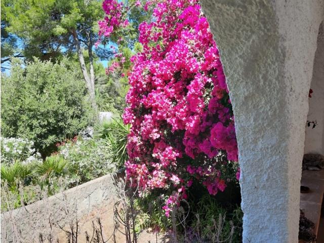 Chalet en venta en Llevant, Baleares