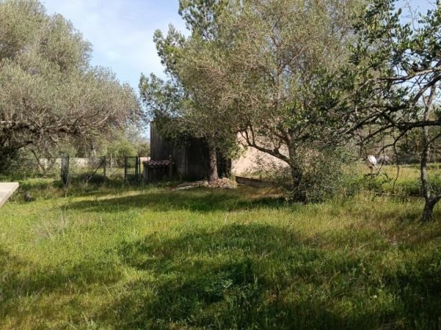 Casa en venta en Baix Ebre, Catalunya