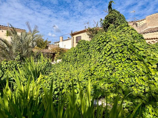 Casa en venta en Pla de Mallorca, Baleares