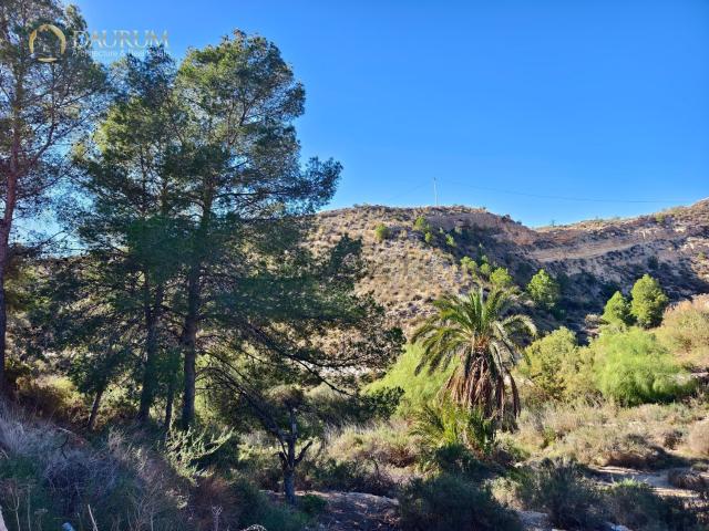 Casa en venta en el Baix Vinalopó, Valencia