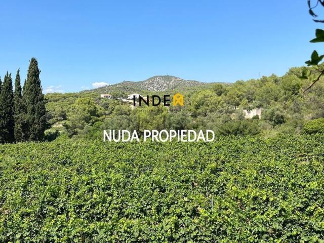 Casa en venta en el Mas Trader, Garraf