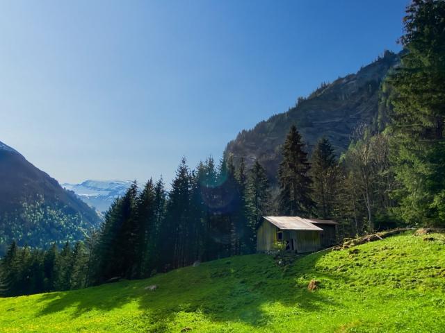Maison vente à La Chaletaz, Sixt-Fer-à-Cheval