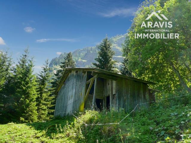 Maison vente à Bonneville, Sixt-fer-à-cheval