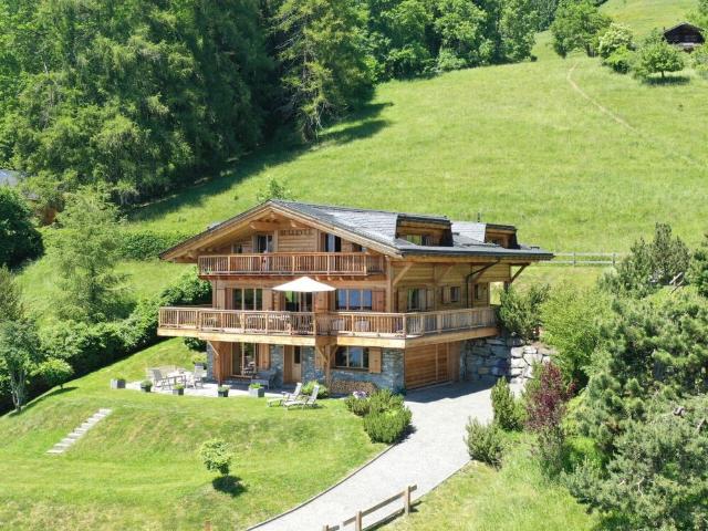 Haus kaufen in Ollon (VS), Waadt