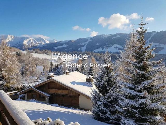 Maison location à Bonneville, Megève