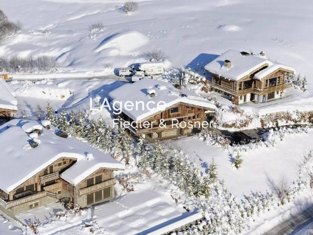 Maison location à Bonneville, Megève