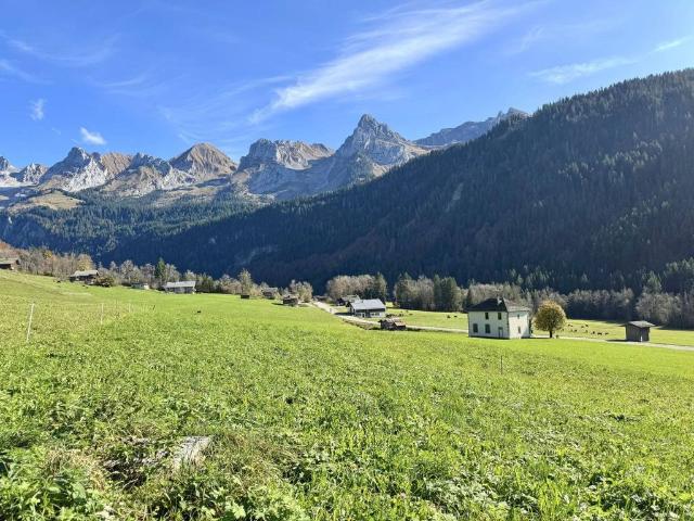 Maison vente à Annecy, Le Grand-bornand