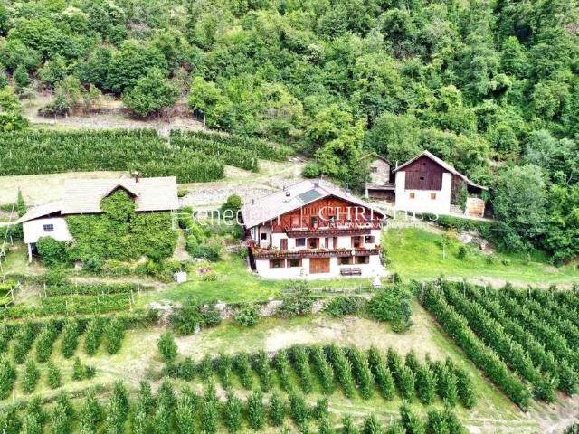 Villa Indipendente in vendita a Burggrafenamt - Burgraviato, Naturno - Naturns