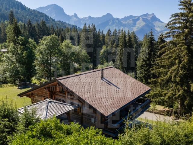 Haus kaufen in Ollon (VS), Waadt