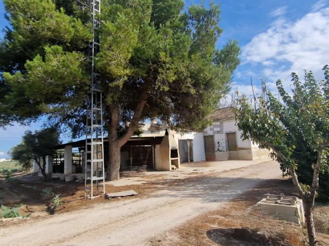 Casa en venta en Dolores, Valencia