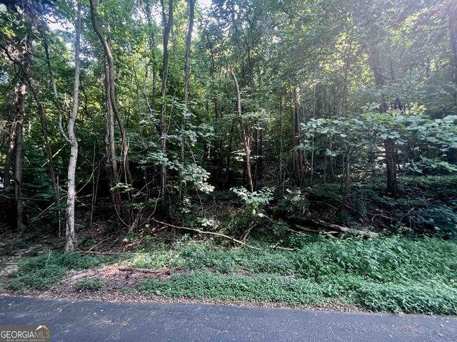 Land for sale in Sautee Nacoochee, Georgia
