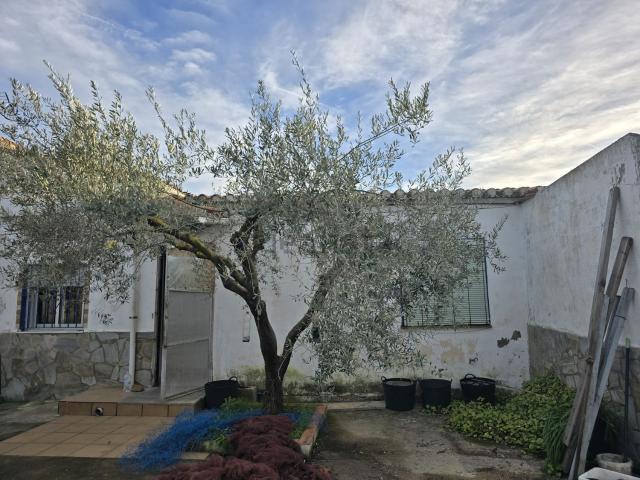 Casa en venta en la Plana Alta, Valencia