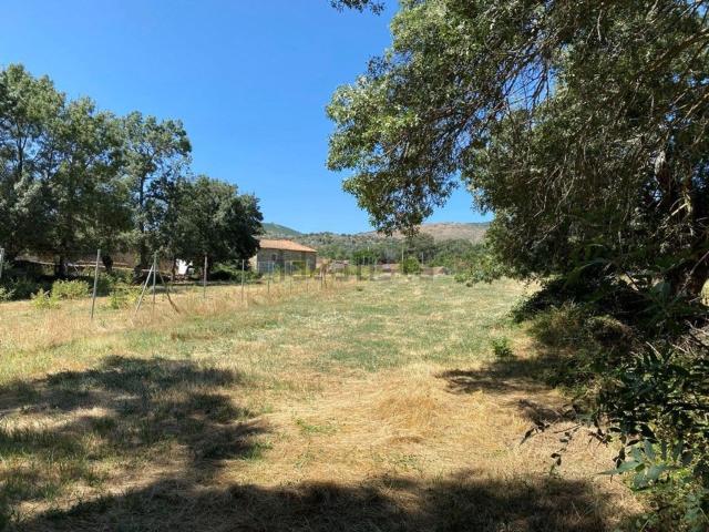 Casa en venta en El Losar Del Barco, Castilla y León