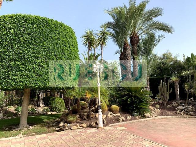 Casa en venta en Atzavares, el Baix Vinalopó