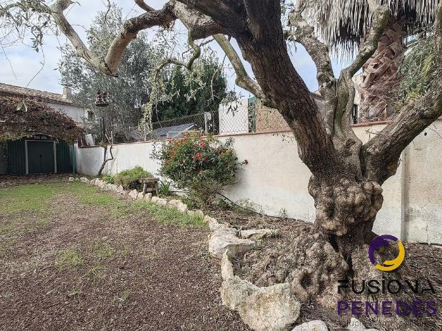Chalet en alquiler en Alt Penedès, Catalunya