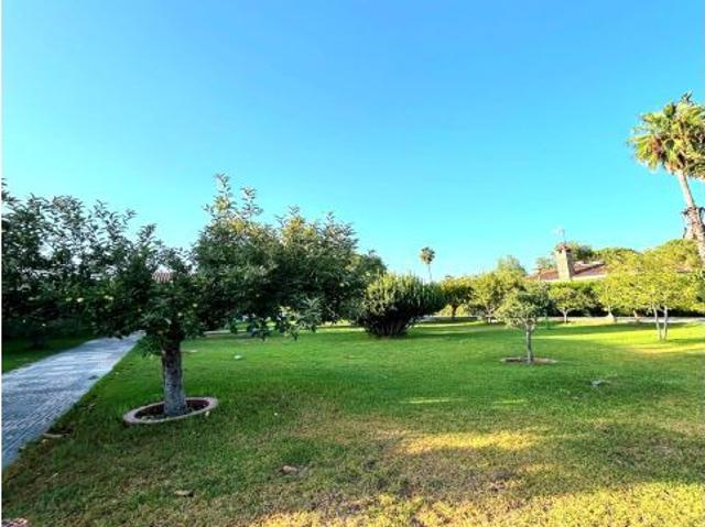 Casa en venta en Castilblanco De Los Arroyos, Andalucía