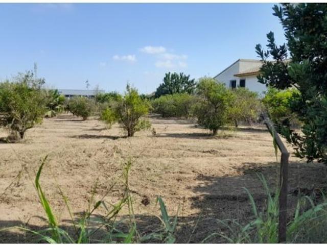 Casa en venta en el Baix Segura / La Vega Baja, Valencia